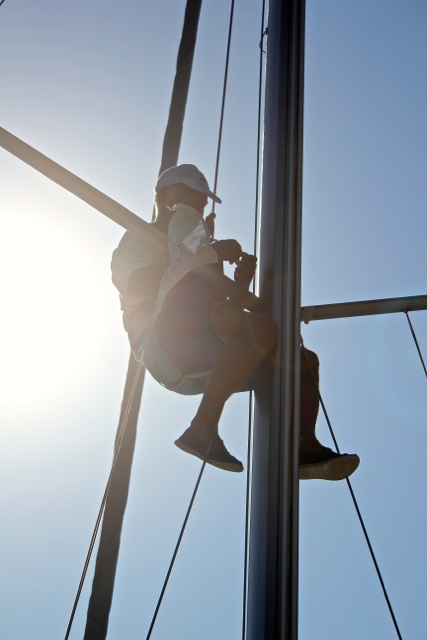 IMG_6438.jpeg IMG_6438.jpeg