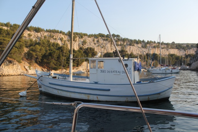 IMG_6417.jpeg IMG_6417.jpeg