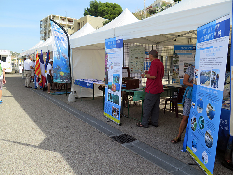 IMG_4024-web.jpg IMG_4024-web.jpg