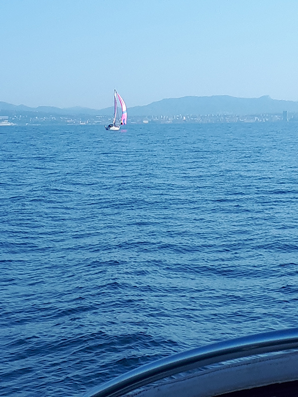 20191026_115159-Web.jpg 20191026_115159-Web.jpg