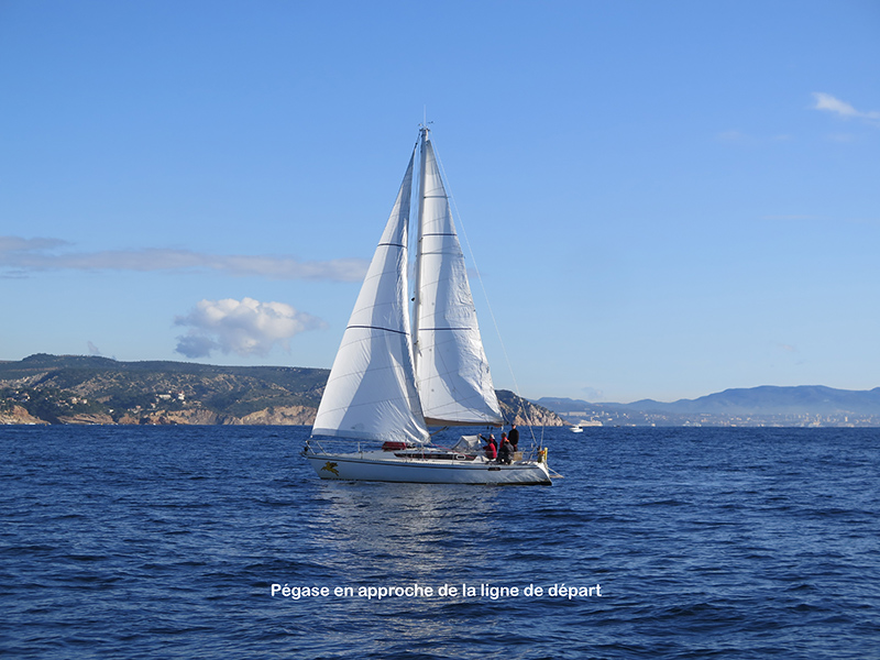 13-IMG_4197-Web.jpg 13-IMG_4197-Web.jpg