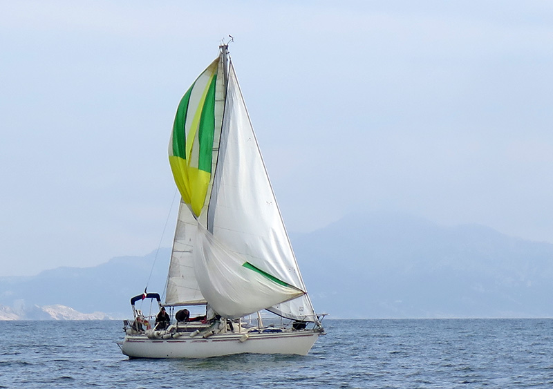 IMG_4529-web.jpg