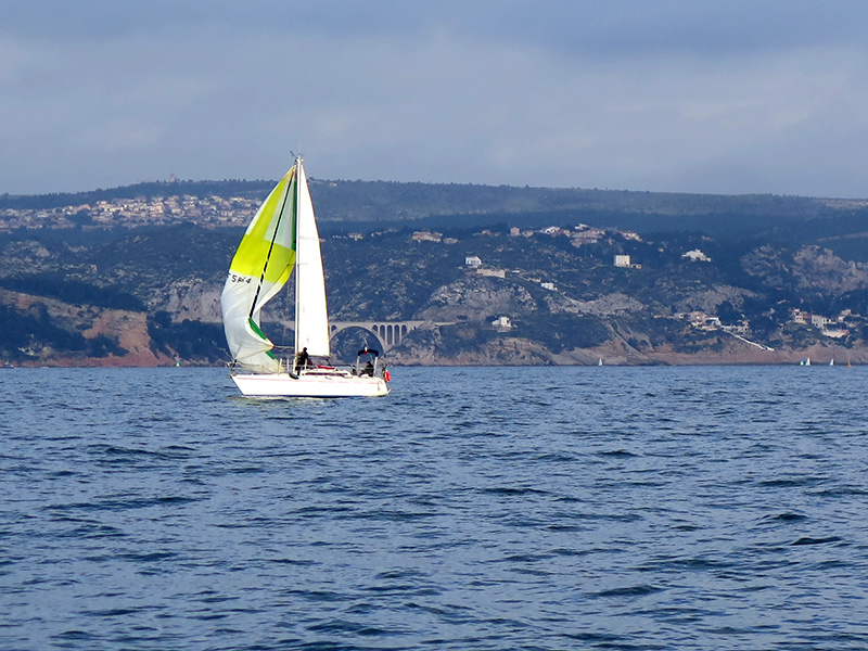 IMG_4531-web.jpg IMG_4531-web.jpg