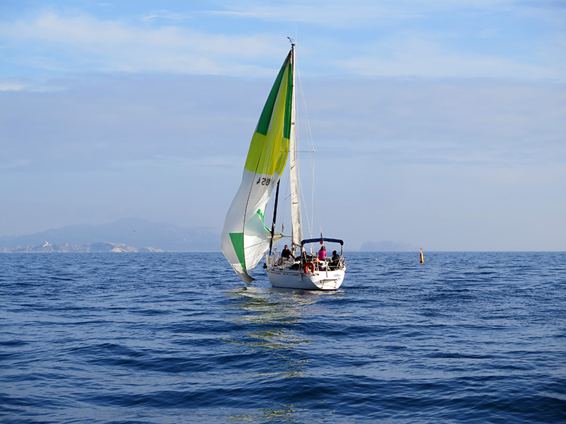 IMG_4546-web.jpg IMG_4546-web.jpg