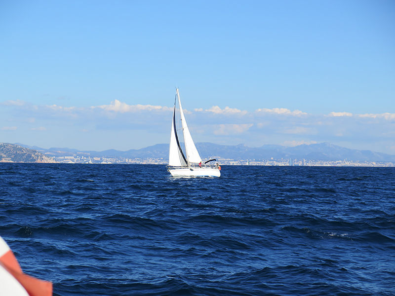 2020-10-17-03-IMG_5281.jpg 2020-10-17-03-IMG_5281.jpg