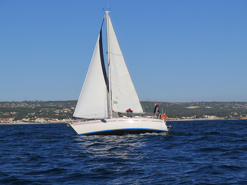 2020-10-17-07-IMG_5288.jpg 2020-10-17-07-IMG_5288.jpg