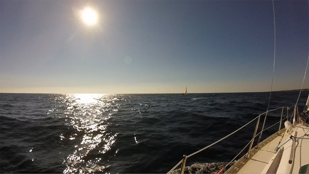 2020-10-17-11.jpg 2020-10-17-11.jpg