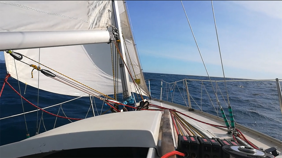 2020-10-24-05-Ole.jpg 2020-10-24-05-Ole.jpg