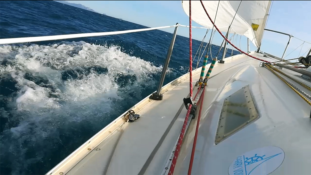 2020-10-24-06-Ole.jpg 2020-10-24-06-Ole.jpg