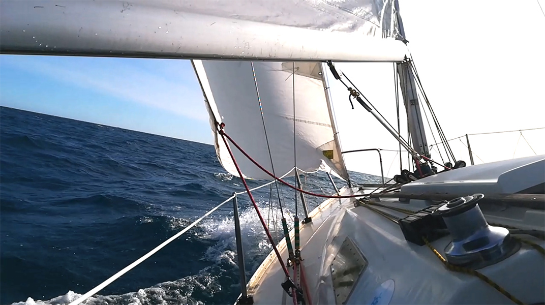 2020-10-24-09-Ole.jpg 2020-10-24-09-Ole.jpg