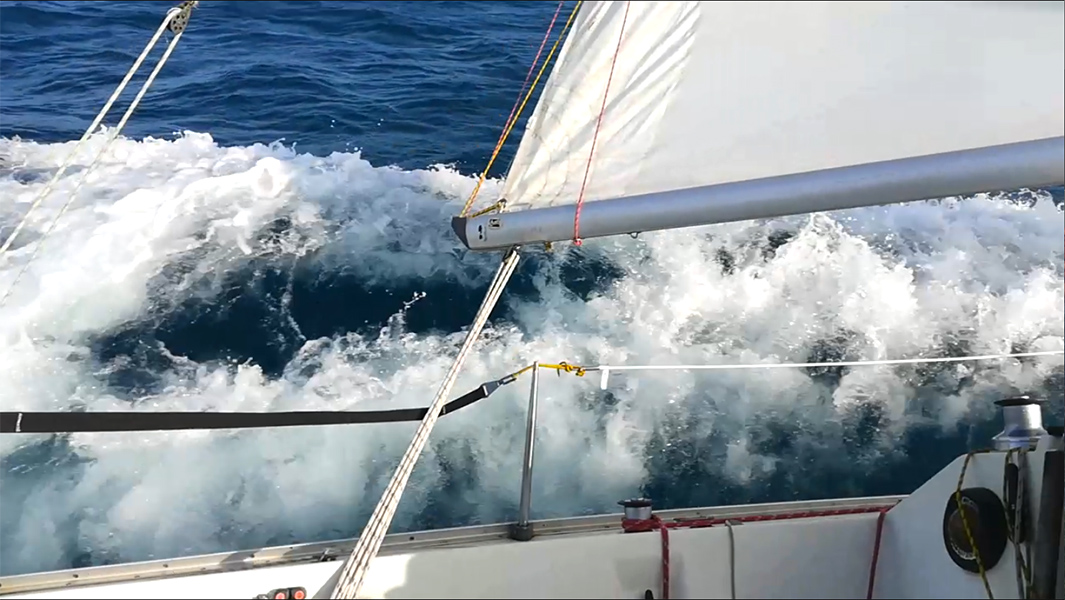 2020-10-24-10-Ole.jpg 2020-10-24-10-Ole.jpg