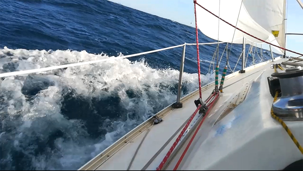 2020-10-24-14-Ole.jpg 2020-10-24-14-Ole.jpg