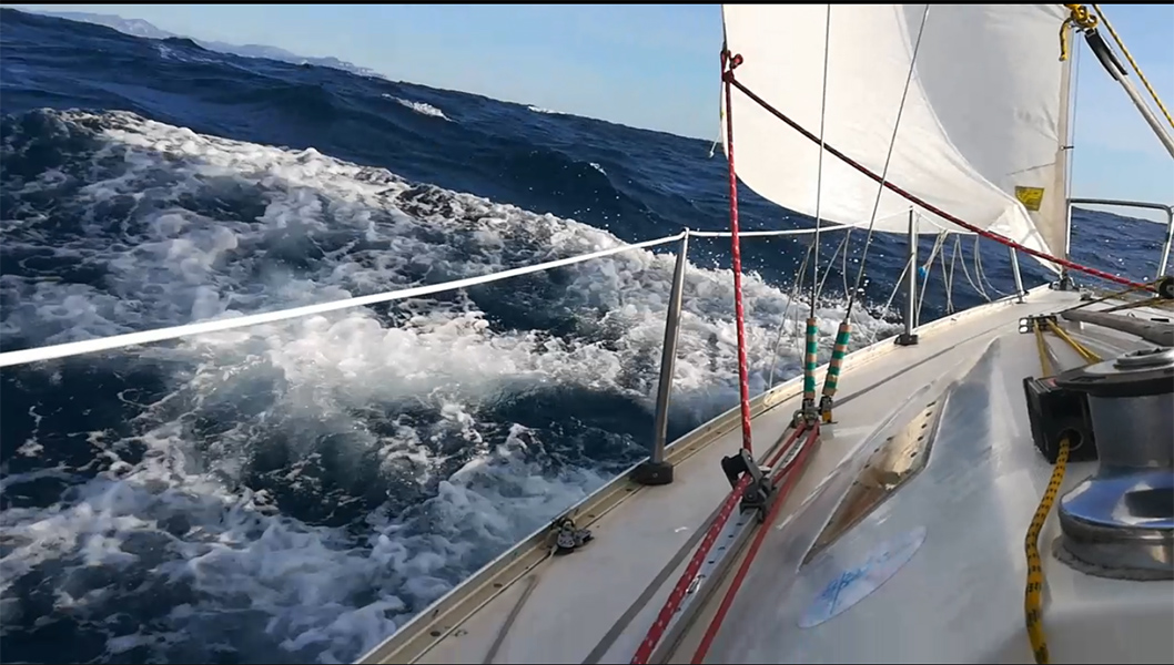 2020-10-24-17-Ole.jpg 2020-10-24-17-Ole.jpg