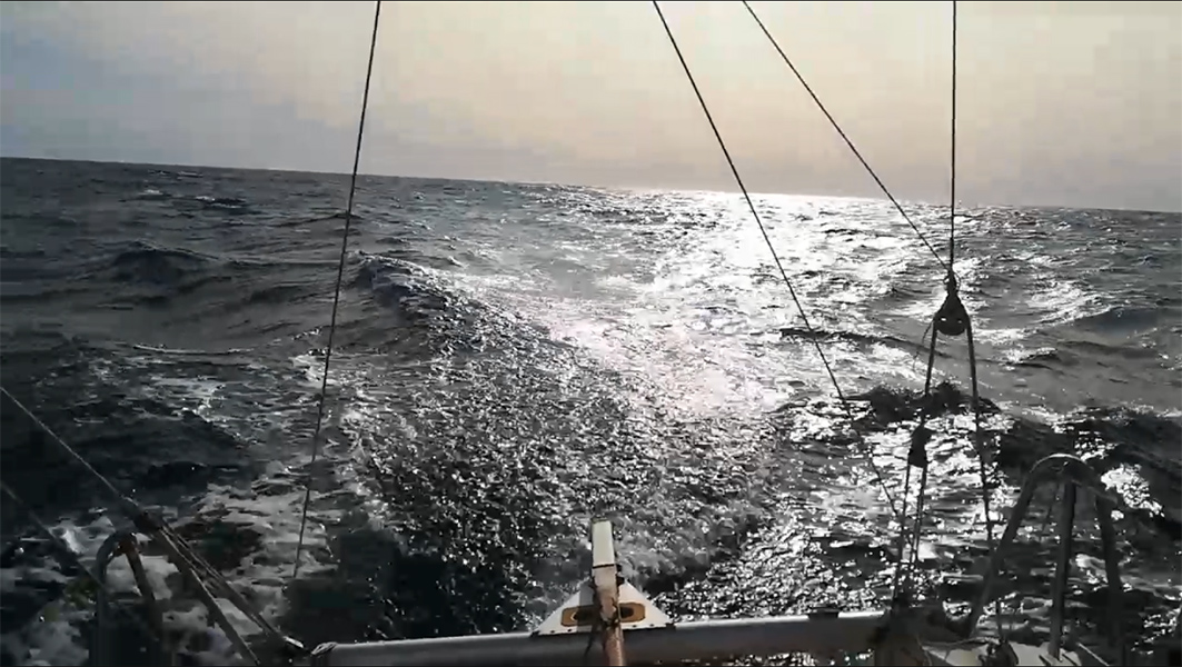 2020-10-24-20-Ole.jpg 2020-10-24-20-Ole.jpg