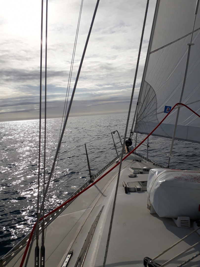 2021-01-30-01.jpg 2021-01-30-01.jpg