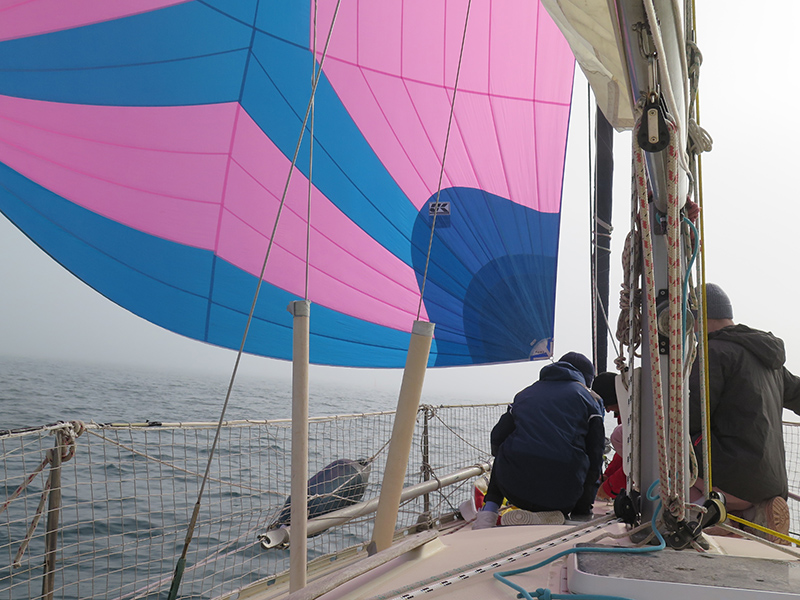 IMG_5579-web.jpg IMG_5579-web.jpg