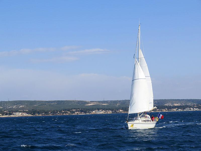 IMG_5628-web.jpg IMG_5628-web.jpg