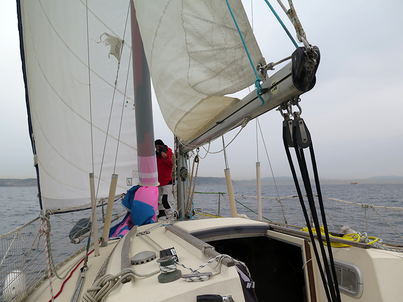 IMG_5667-web.jpg IMG_5667-web.jpg