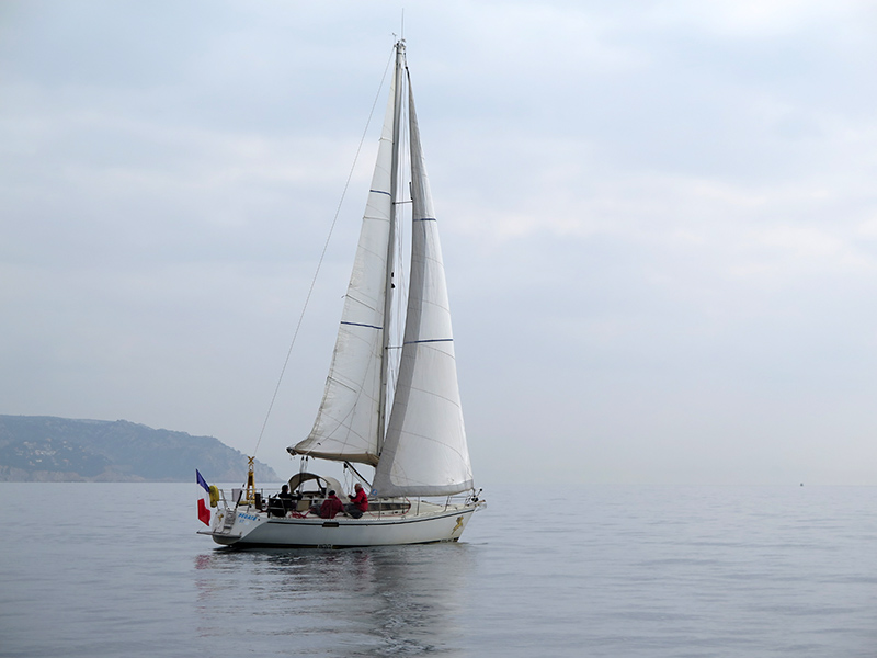 IMG_5704-Web.jpg IMG_5704-Web.jpg