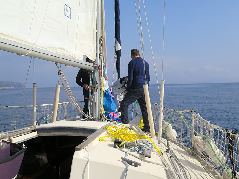 IMG_5724-web.jpg IMG_5724-web.jpg