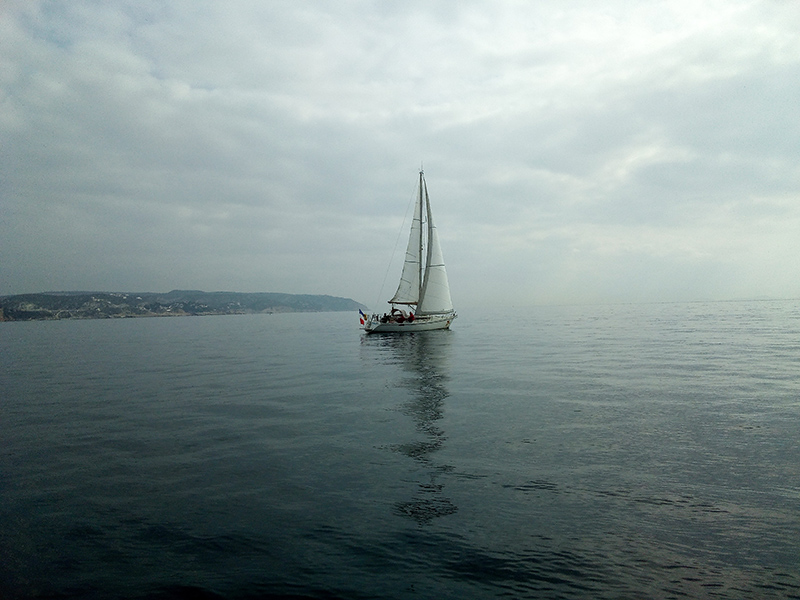 IMG_20210306_104552-Web.jpg IMG_20210306_104552-Web.jpg