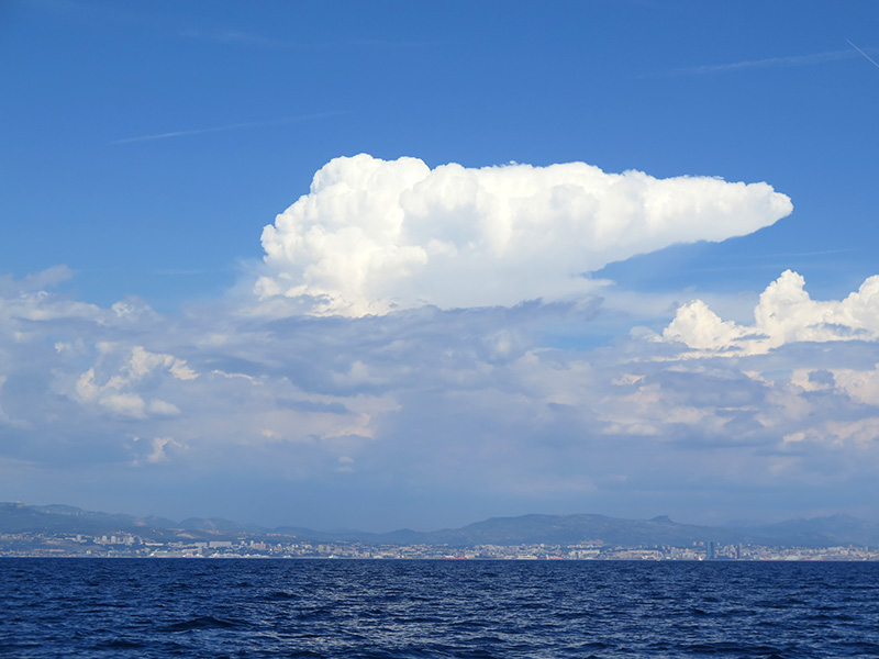 IMG_5806-Web.jpg IMG_5806-Web.jpg