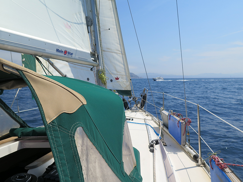 IMG_5847-Web.jpg IMG_5847-Web.jpg