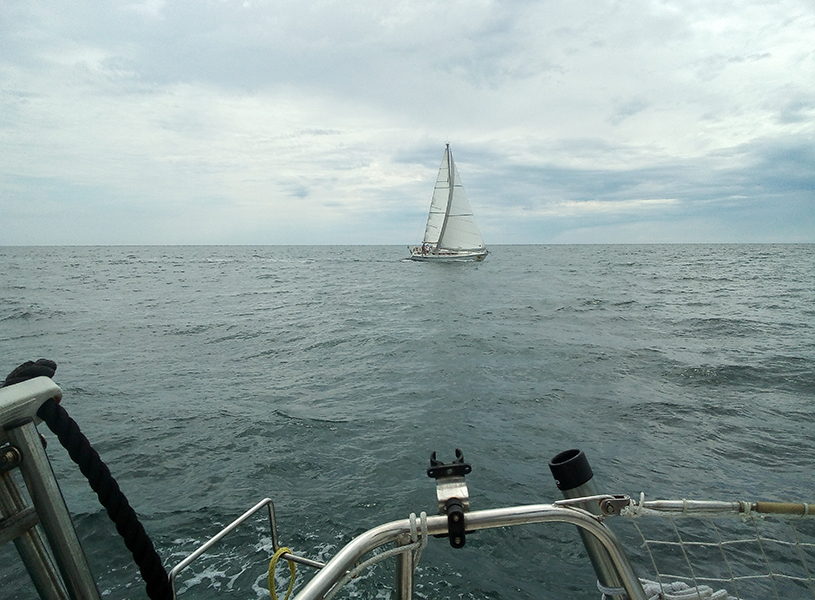 IMG_20210707_153350-web.jpg IMG_20210707_153350-web.jpg