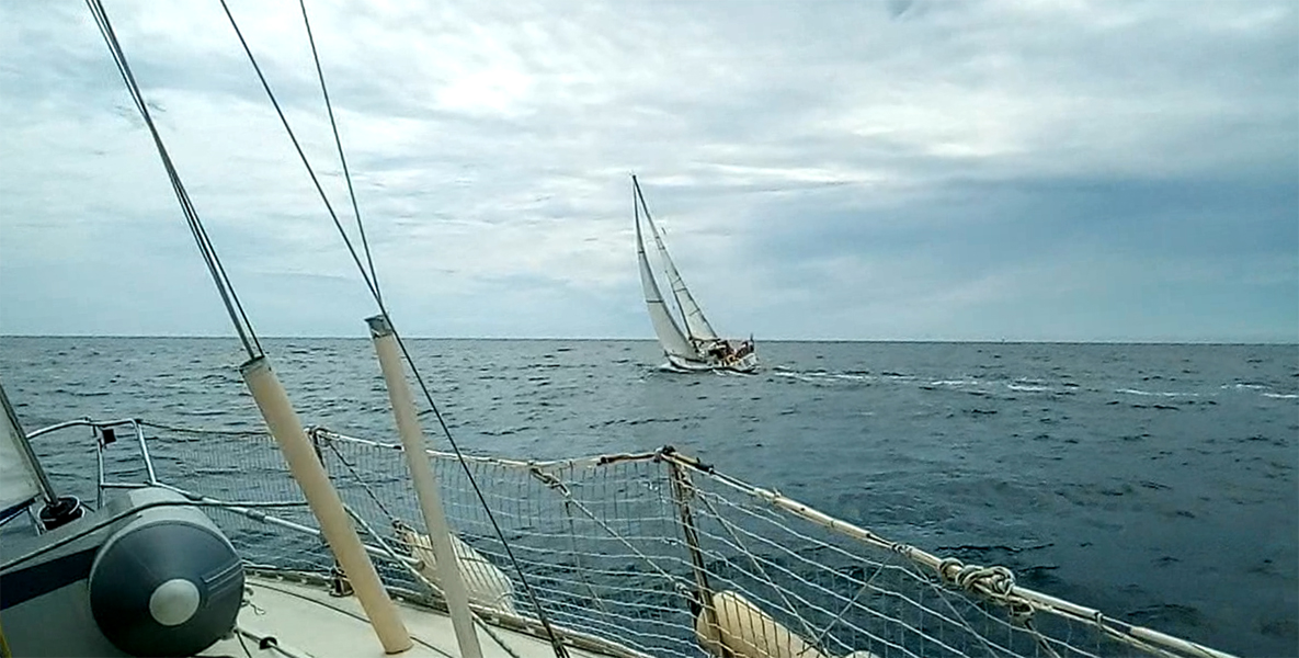 Pegase2.jpg Pegase2.jpg