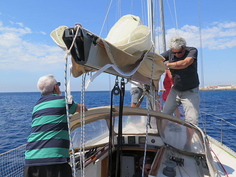 IMG_5964-web.jpg