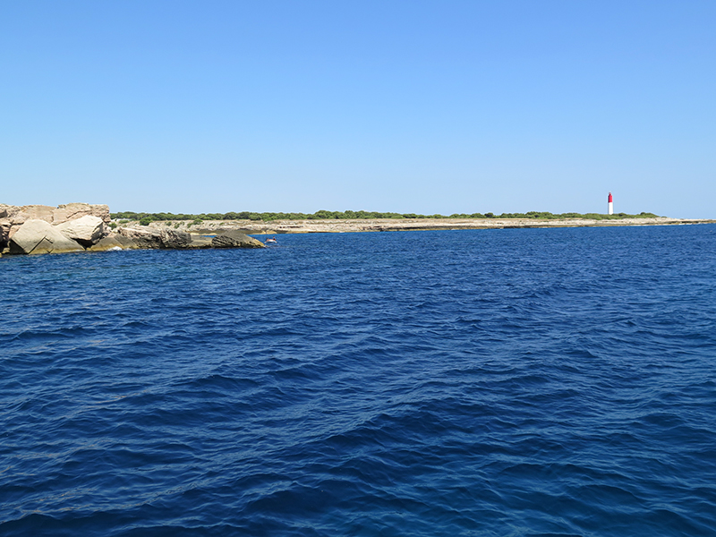 IMG_5989-web.jpg IMG_5989-web.jpg