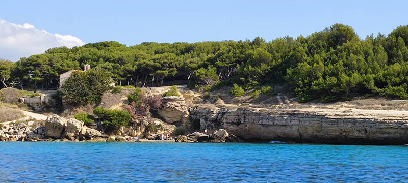 Cote-bleue-3-800px.jpg
