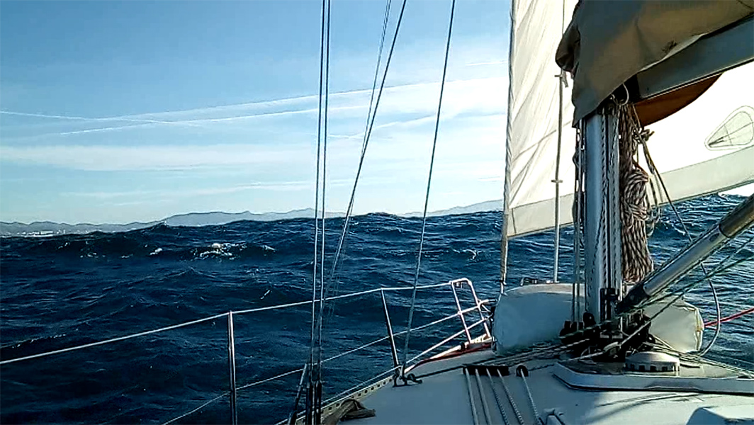 2022-01-08-7.jpg 2022-01-08-7.jpg