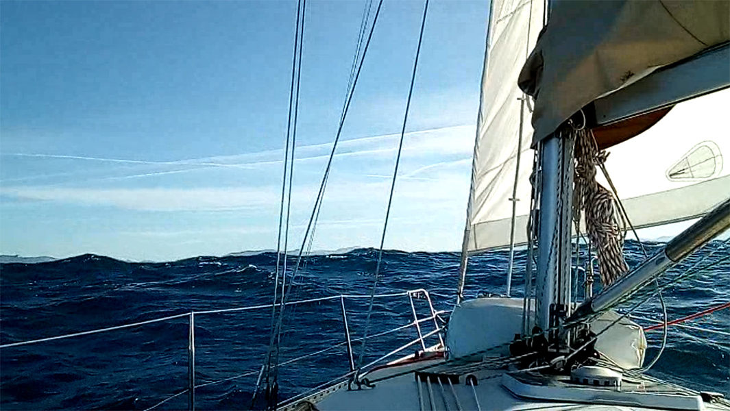 2022-01-08-8.jpg 2022-01-08-8.jpg