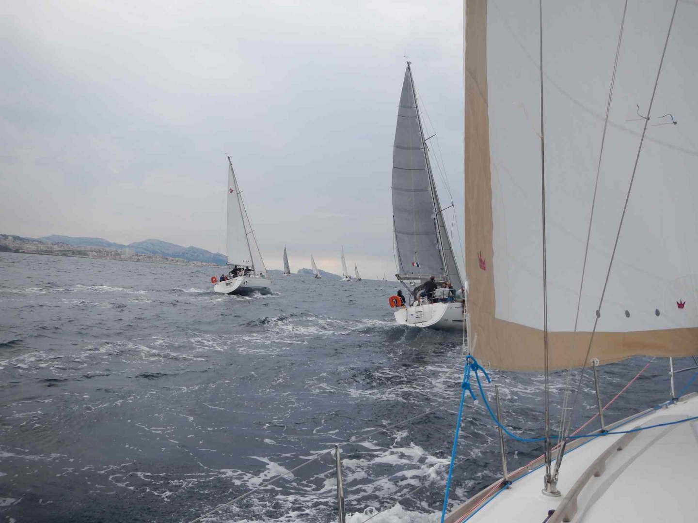 au prés.jpg au prés.jpg