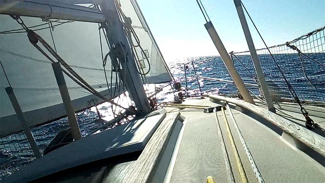 2022-01-15-14.jpg 2022-01-15-14.jpg