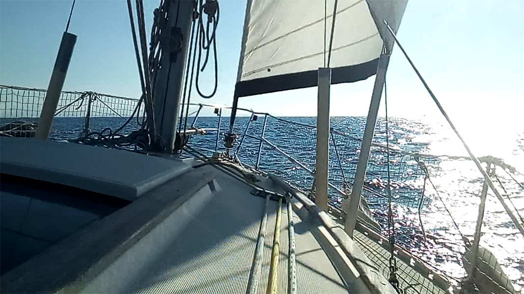 2022-01-29-5.jpg 2022-01-29-5.jpg