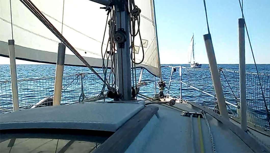 2022-01-29-24.jpg 2022-01-29-24.jpg