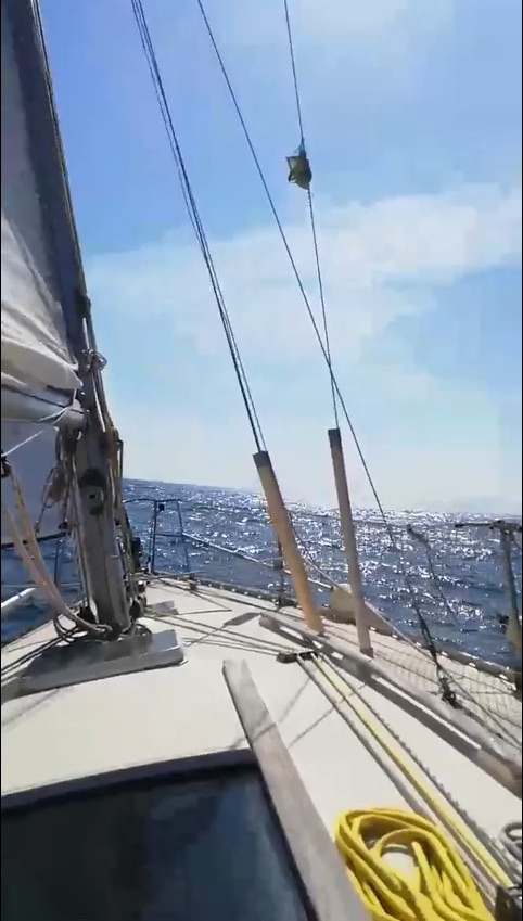 2022-05-18-Miniature.jpg 2022-05-18-Miniature.jpg