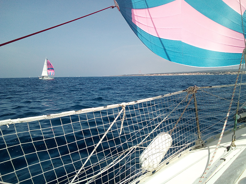 13-IMG_20220514_120105-web.jpg 13-IMG_20220514_120105-web.jpg