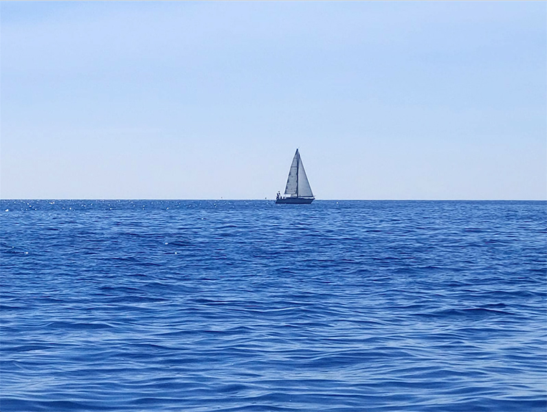 8-IMG-20220504-WA0000.jpg 8-IMG-20220504-WA0000.jpg