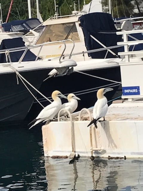 PHOTO-2022-06-10-18-03-58.jpg PHOTO-2022-06-10-18-03-58.jpg