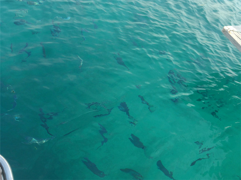 2022-03-09-10.jpg 2022-03-09-10.jpg