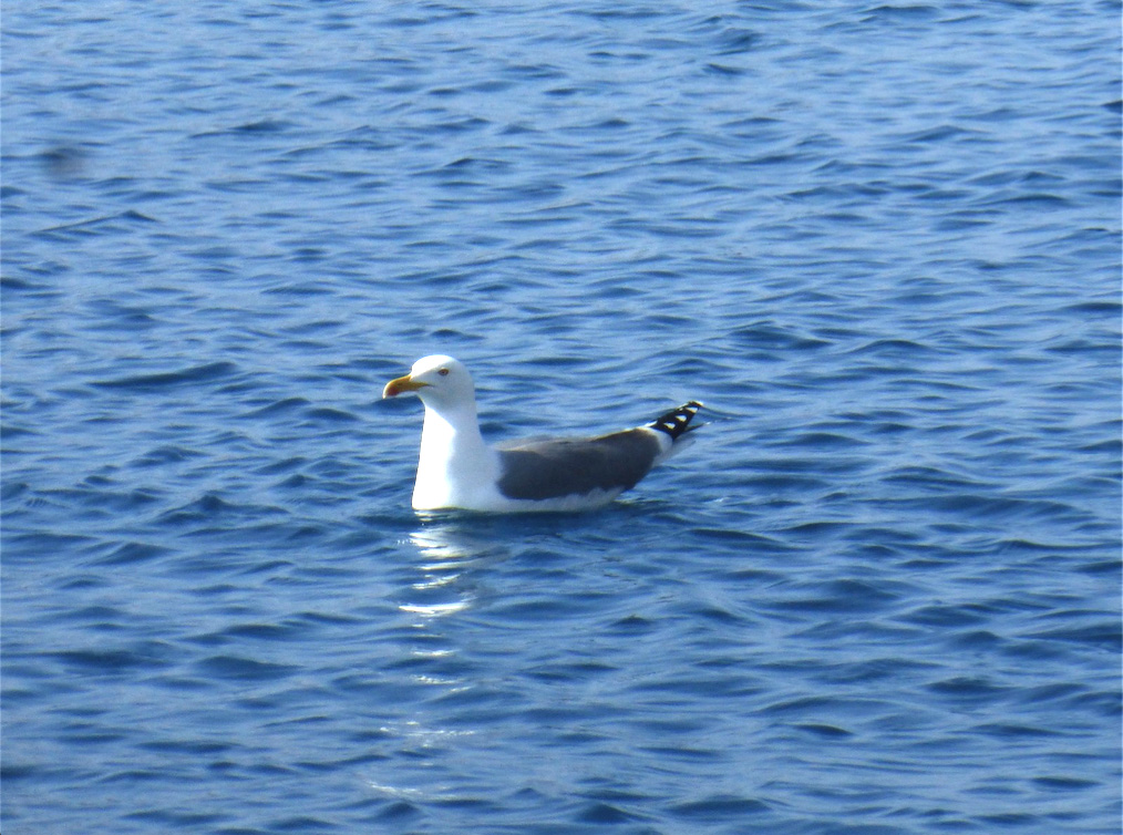 2022-03-09-11.jpg 2022-03-09-11.jpg