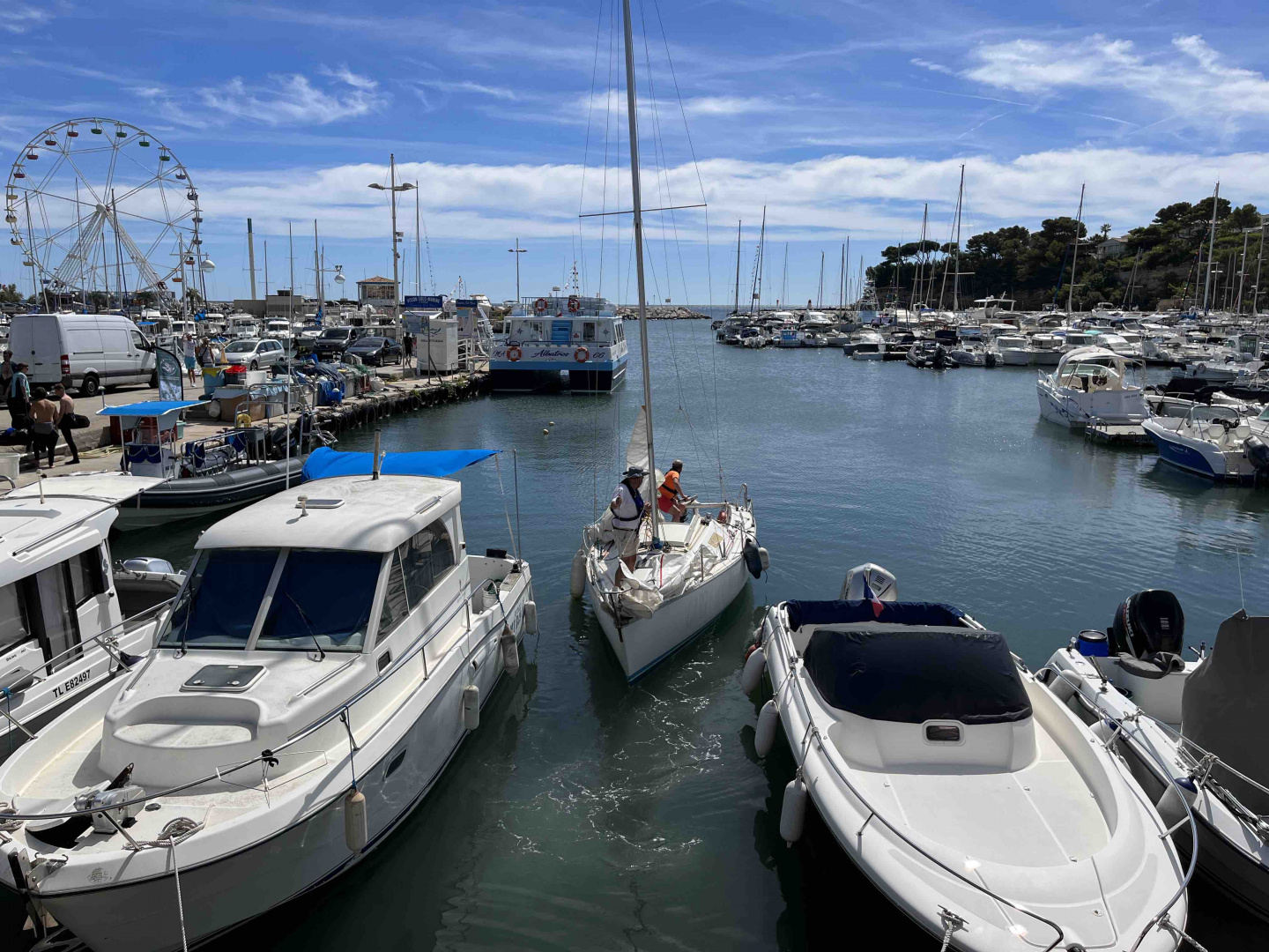 IMG_0559.jpg IMG_0559.jpg