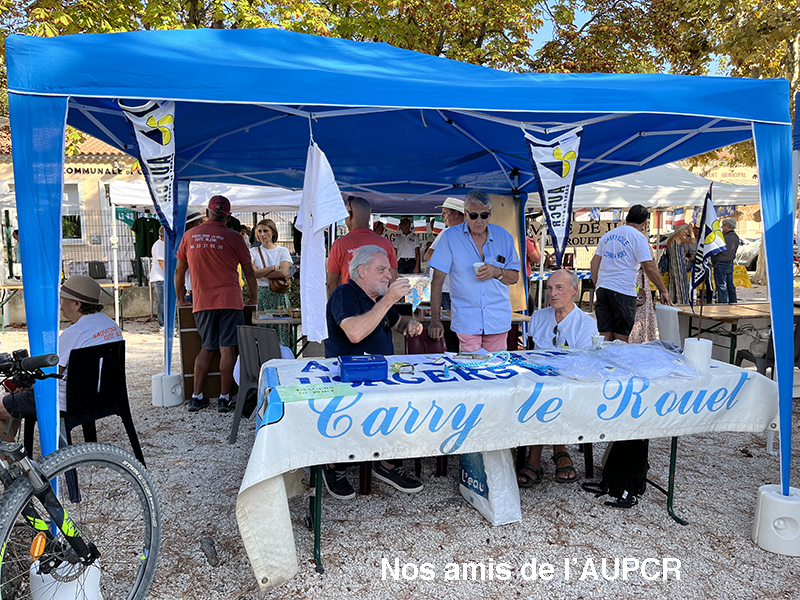 IMG_0514-web.jpg IMG_0514-web.jpg