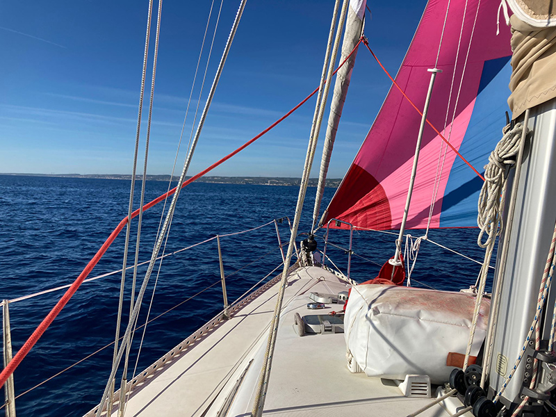 1-2022-10-15-Pegase1.jpg 1-2022-10-15-Pegase1.jpg