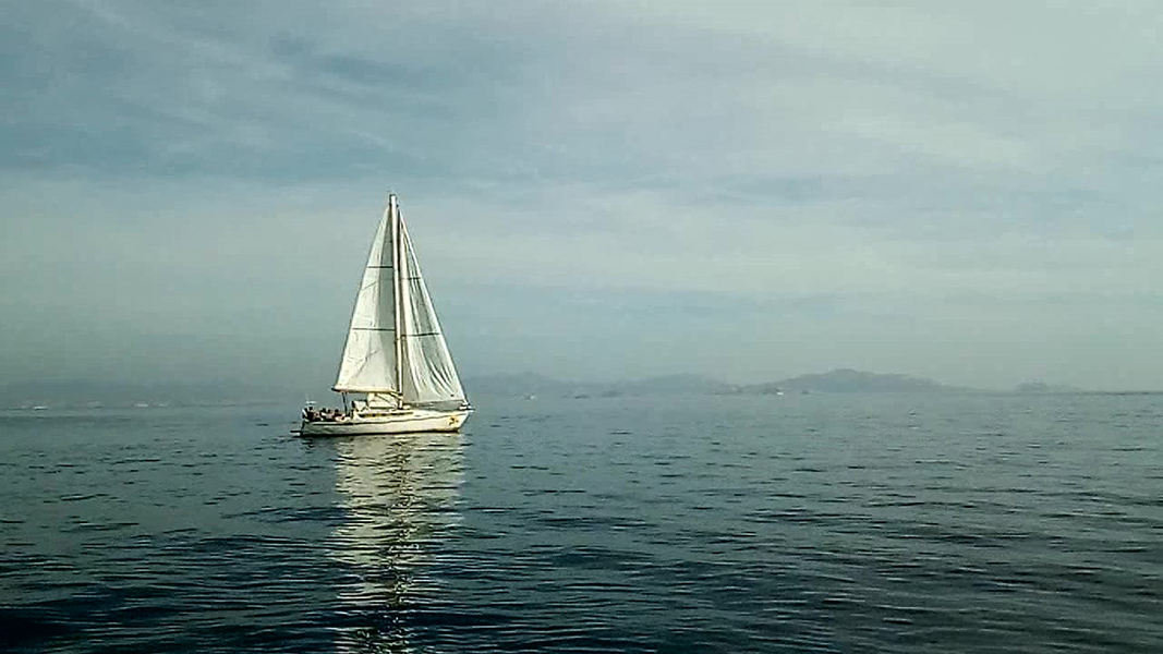 VID_20221029_151421-web.jpg VID_20221029_151421-web.jpg