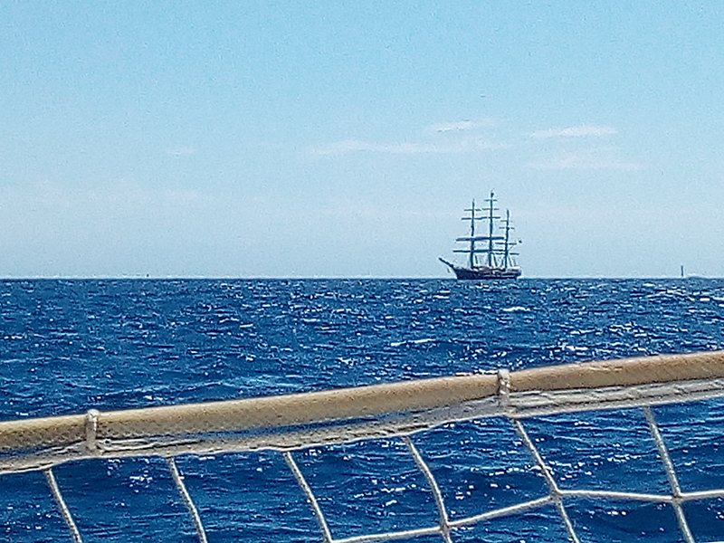 2022-06-25-2.jpg 2022-06-25-2.jpg