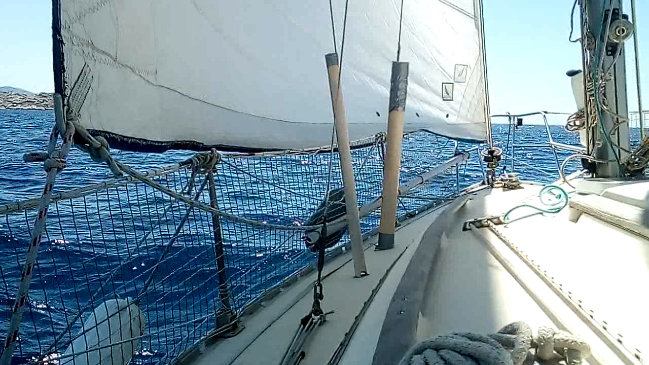 2022-06-25-9.jpg 2022-06-25-9.jpg